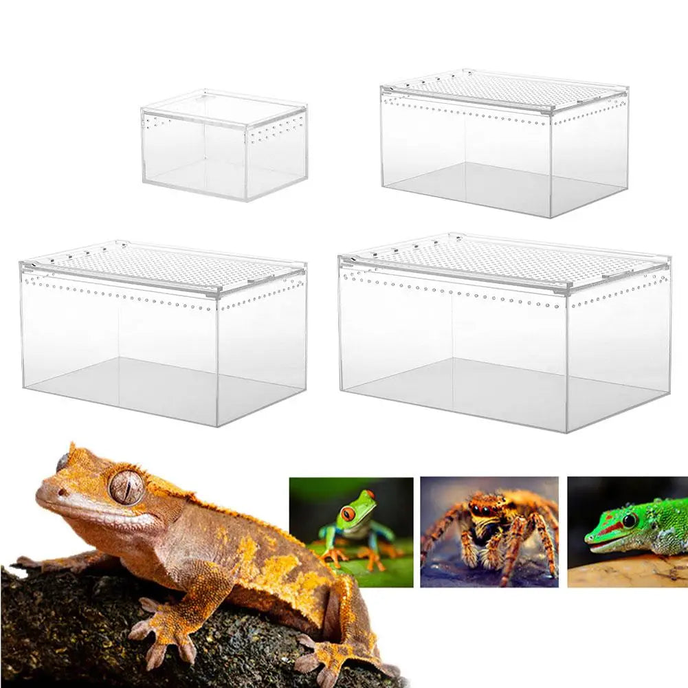 Acrylic Reptile Breeding Box Transparent Spider Lizard  Caterpillars Snail Acrylic Assembled Insect Breathable Terrarium
