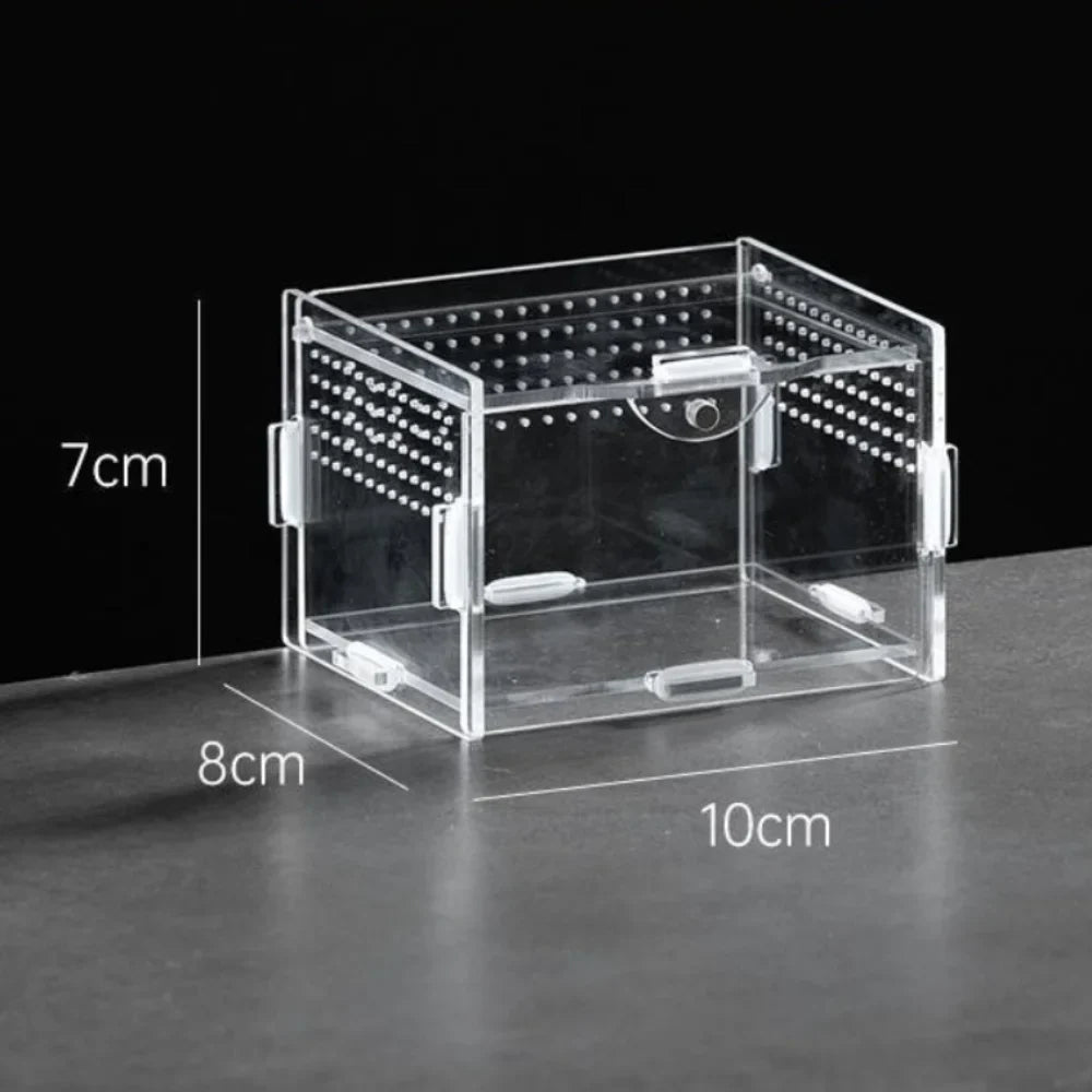 Durable Acrylic Reptile Habitat Clear Multiple Size Spider Feeding Case Arboreal Anti-Escape Lizard Breeding Box for Chameleon