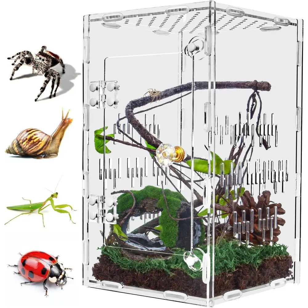 Jumping Spider Enclosure, Large Acrylic Praying Mantis Habitat, 10"*6"*6" Ventilated Insect Terrarium Cage with Front Opening Do