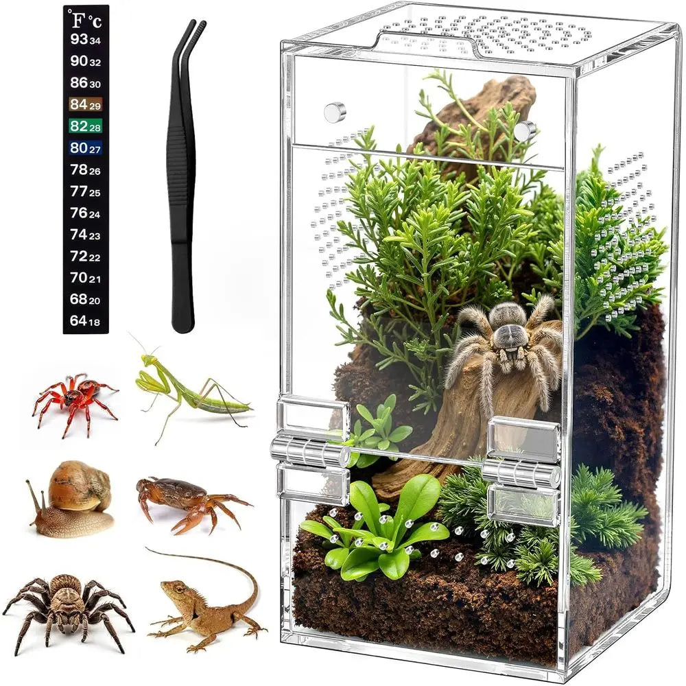 Jumping Spider Enclosure, Acrylic Terrarium with Magnetic Door & All-Side Ventilation, Pre-Assembled Reptiles Habitat for Prayin