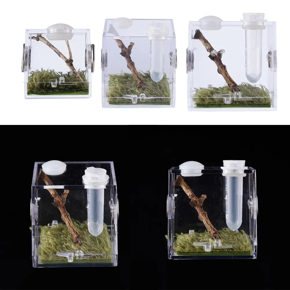 Plastic Transparent Jumping Spider Habitat Acrylic Breeding Box Cage Terrarium Tank Escape Proof For Insects Jumping Spider