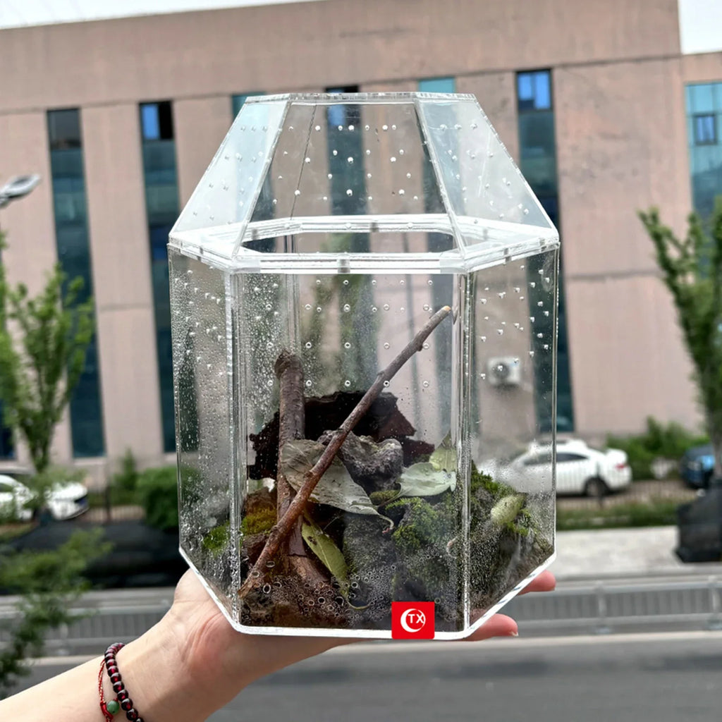 Jumping Spider Enclosure Acrylic Terrarium Habitat All-Side Ventilation Spider Tank for Spiders Tarantulas Snail Lizard Reptiles