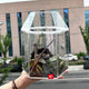 Sticky Image
