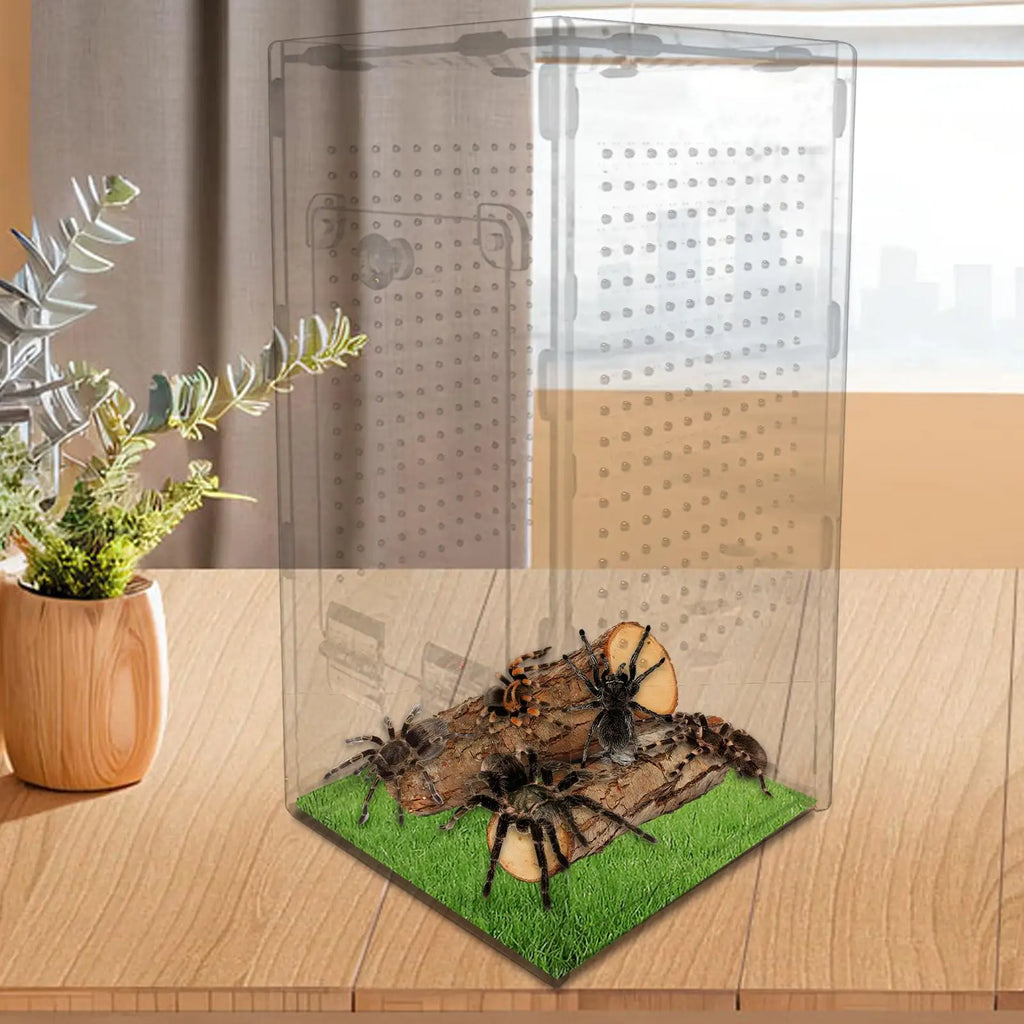 Spider Enclosure Mantis Acrylic Terrarium Spider Enclosure Ventilated Reptile Animal Cage for Breeding Observation Frog Lizard