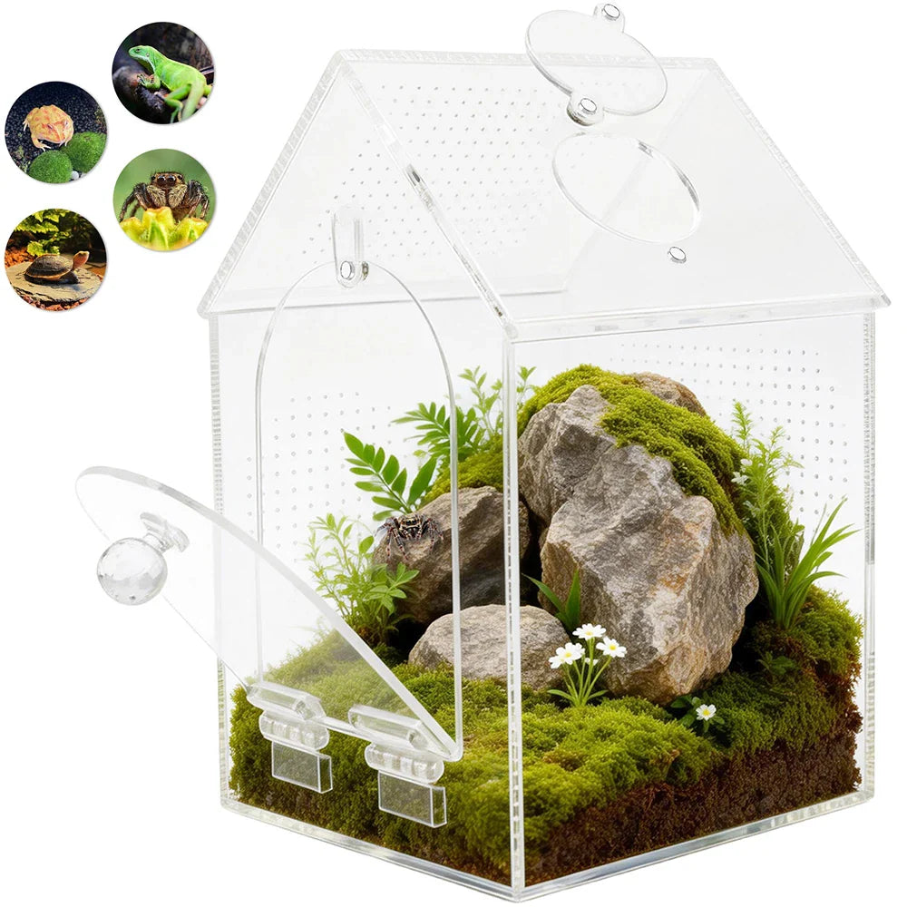 Clear Jumping Spider Enclosure Acrylic Tarantula Terrarium with Feeding Port and Ventilation Holes Small Reptile Feeding Box