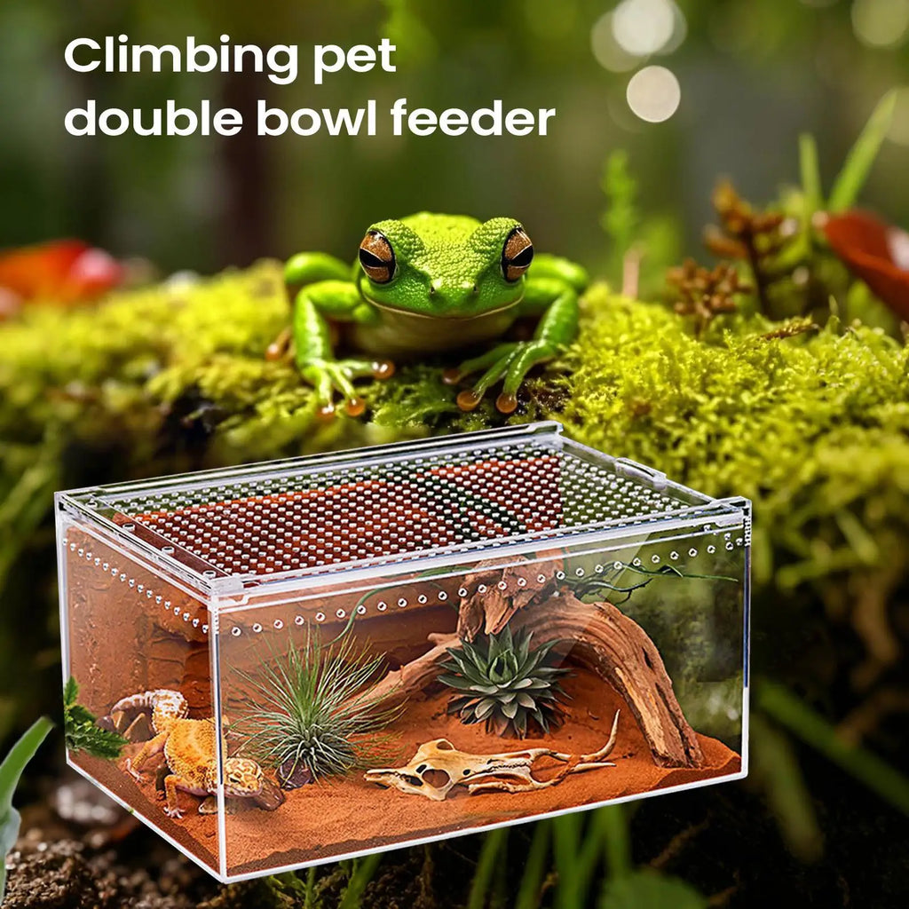 Spider Enclosure Transparent Reptile Terrarium Tank Habitat with Ventilation for Tarantula Gecko Snake Frog Scorpion Lizard